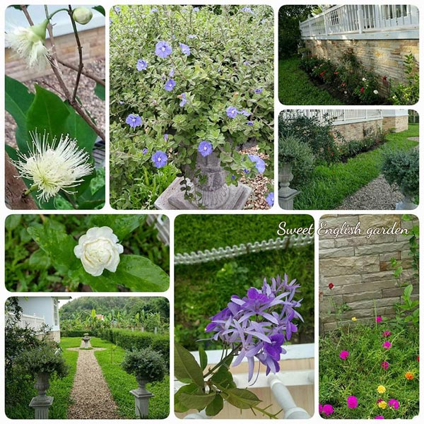 ปลูกบ้านชั้นเดียว