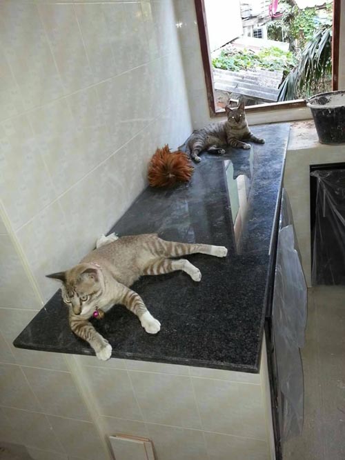 รีโนเวทบ้านไม้