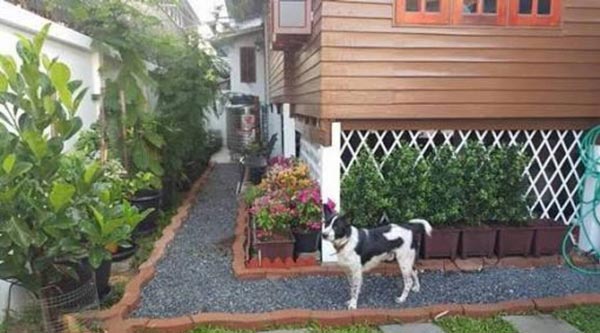 รีโนเวทบ้านไม้