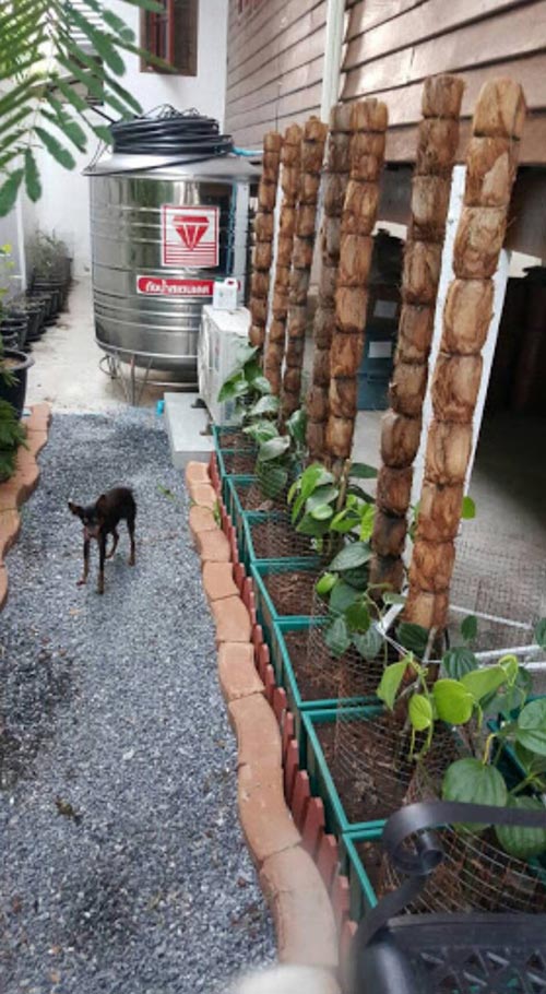 รีโนเวทบ้านไม้