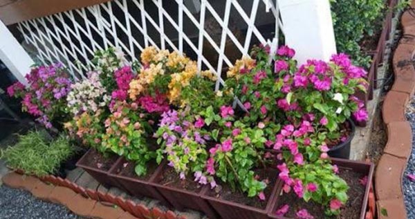 รีโนเวทบ้านไม้