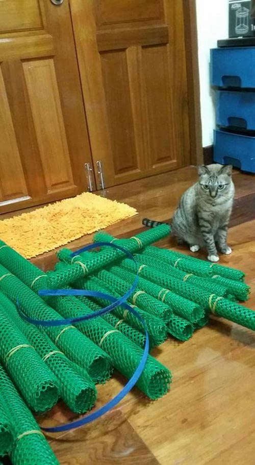 รีโนเวทบ้านไม้