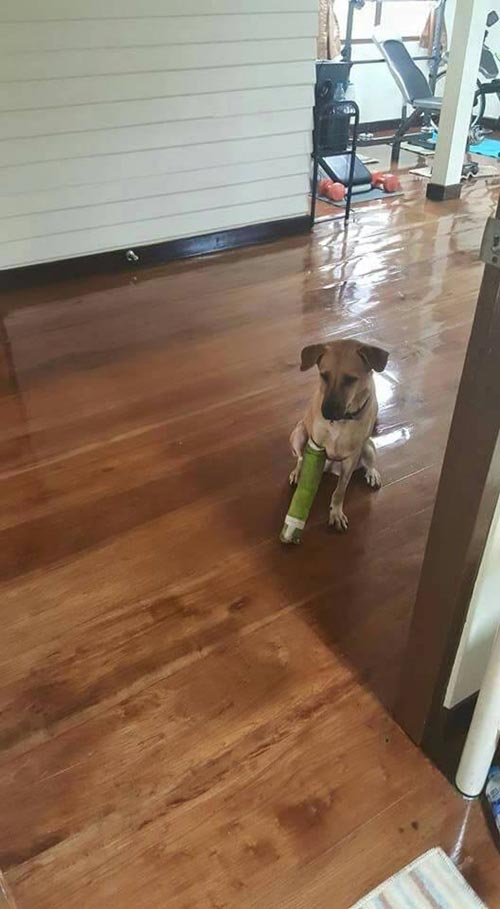 รีโนเวทบ้านไม้