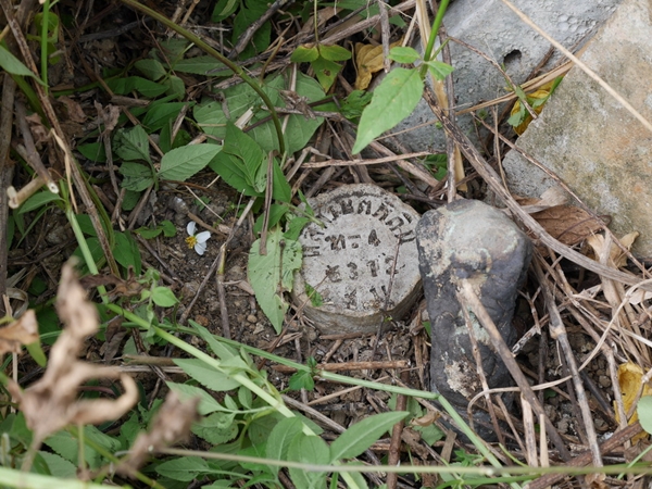 บ้านเดี่ยว 