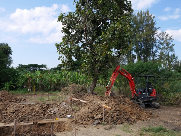 บ้านเดี่ยว 