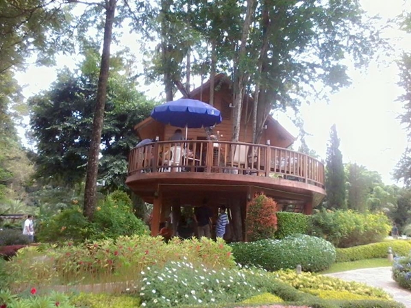 ส่องบ้านสวน ณเดชน์ ฉากหลังสวย ๆ สุดฟินในละคร ตามรักคืนใจ 