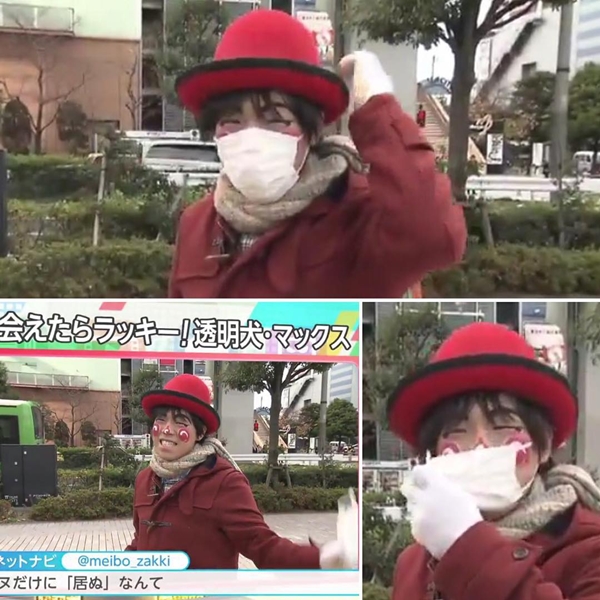 คลิปชายแปลกหน้าจูงหมาล่องหนเดินเล่นในย่านดัง