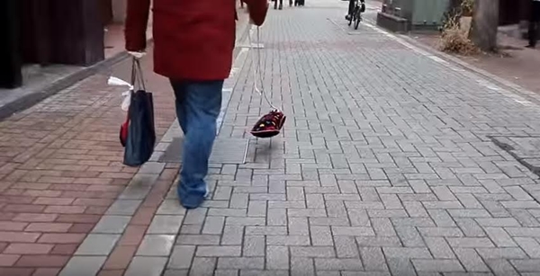 คลิปชายแปลกหน้าจูงหมาล่องหนเดินเล่นในย่านดัง