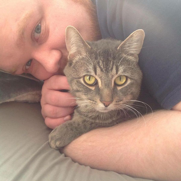 แมวนั่งชันเข่า