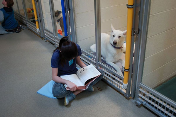 เมื่อเด็กอ่านหนังสือให้สุนัขฟัง ได้ทั้งพัฒนาทักษะการอ่าน ช่วยเหลือสุนัขกำพร้าไปพร้อม ๆ กัน 