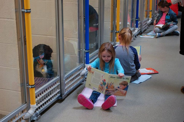 เมื่อเด็กอ่านหนังสือให้สุนัขฟัง ได้ทั้งพัฒนาทักษะการอ่าน ช่วยเหลือสุนัขกำพร้าไปพร้อม ๆ กัน 