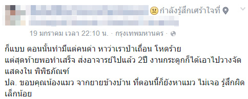 ฆ่าแมว