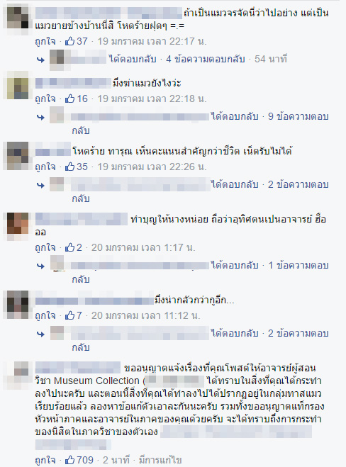 ฆ่าแมว