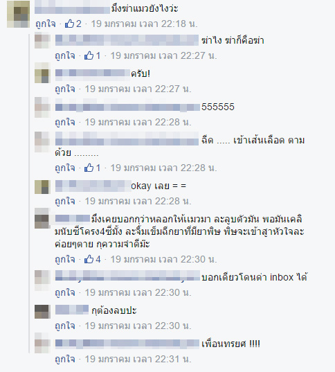 ฆ่าแมว