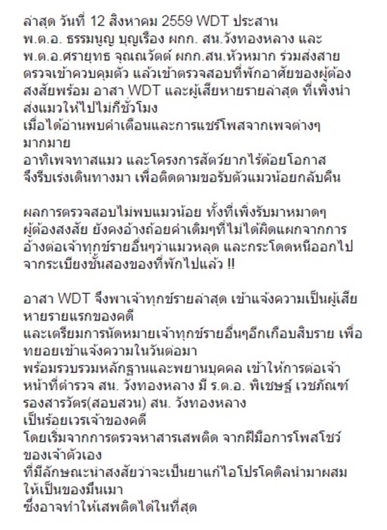 ฆ่าแมว แมวหาบ้าน 