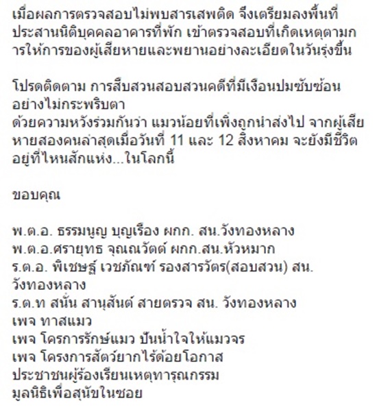 ฆ่าแมว แมวหาบ้าน 