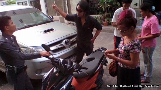 ฆ่าแมว แมวหาบ้าน 