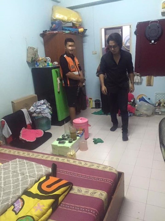 ฆ่าแมว แมวหาบ้าน 