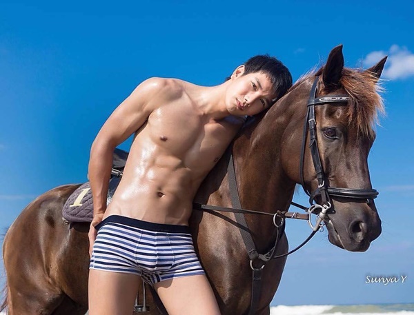  ภัค นรภัทร หนุ่มไทยคว้าตำแหน่ง Mister Model International Pageant 2016