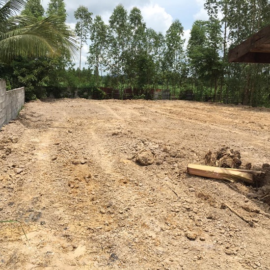 เทพพิทักษ์ แอสละ