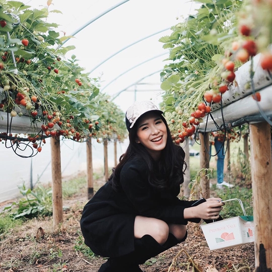 เบสท์ โอลีฟส์