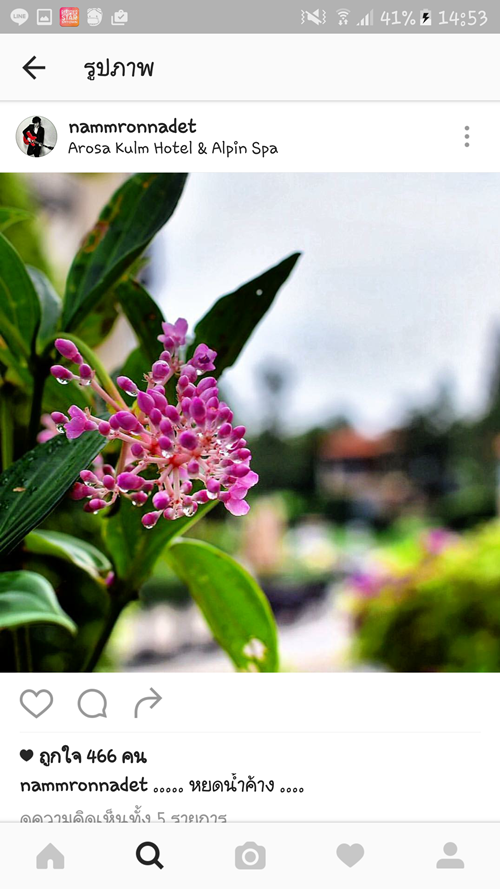 แป้ง อรจิรา แหนม รณเดช