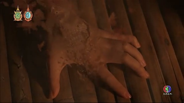 ละคร นาคี 