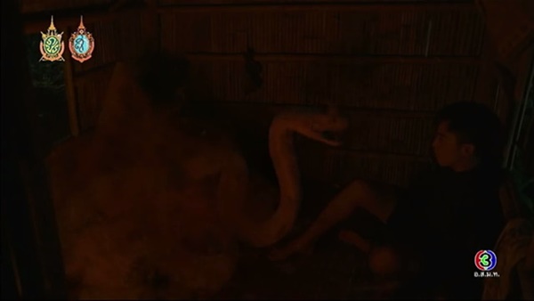 ละคร นาคี 