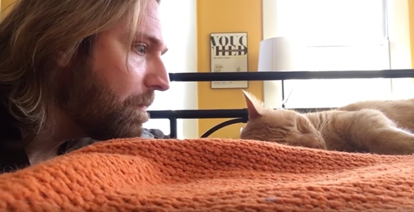 คลิปแมว