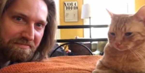 คลิปแมว