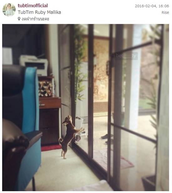 ปลื้ม ทับทิม