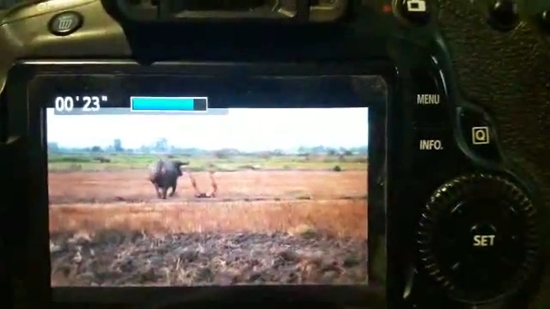 ใบเตย-มาร์ติน พลัดตกควายกลางกองถ่าย 