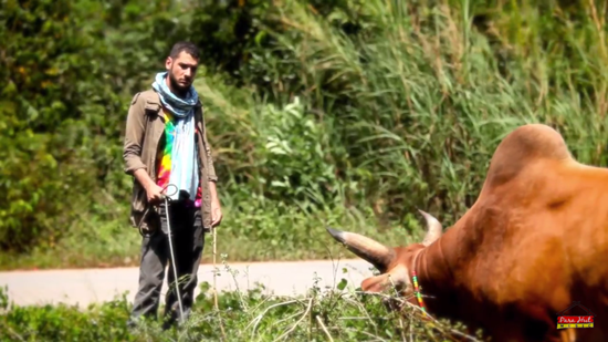 เพลง มหาลัยวัวชน เวอร์ชั่นภาษาอังกฤษ