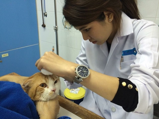 หมอแนน สัตวแพทย์สวย