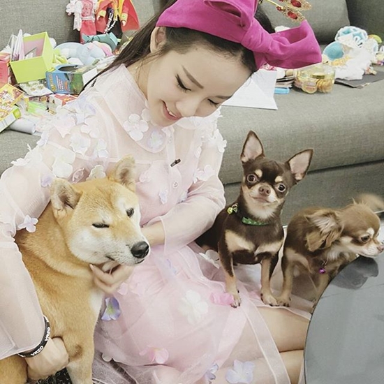 ปลื้ม ทับทิม