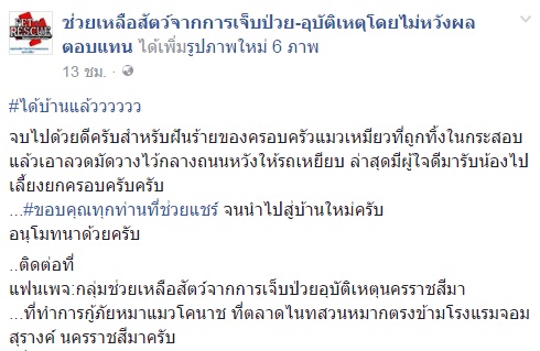 แห่แชร์ภาพแมวถูกทิ้งใส่กระสอบยกคอก 