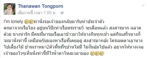 เจ้าตูบขนสีน้ำตาล นั่งรอเจ้าของ