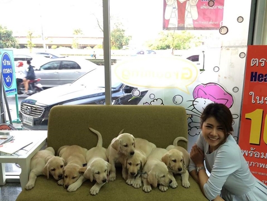 หมอแนน สัตวแพทย์สวย