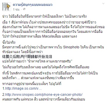 เพจหมอแมว 
