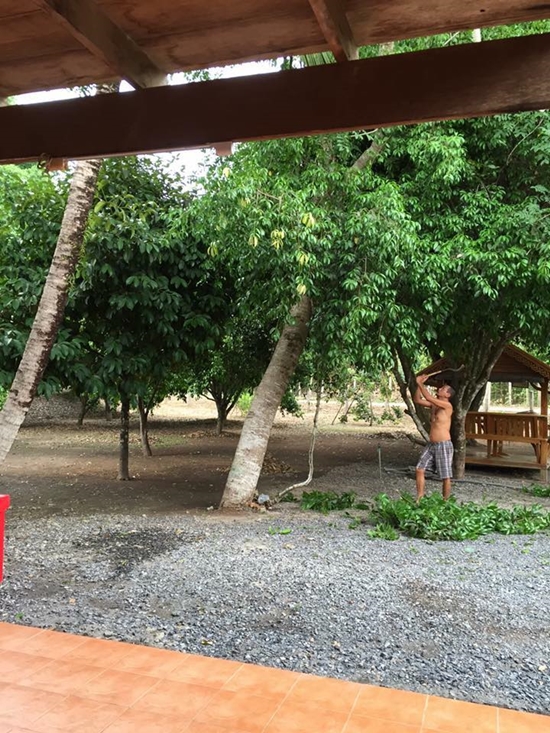  เท่ง เถิดเทิง