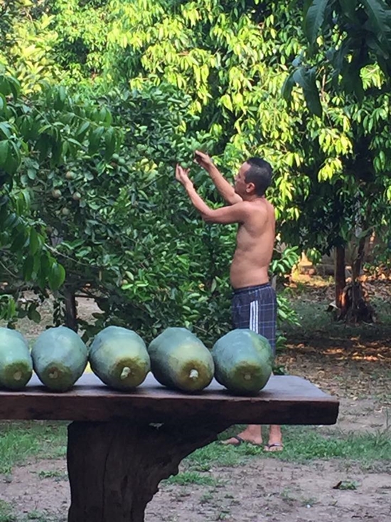  เท่ง เถิดเทิง