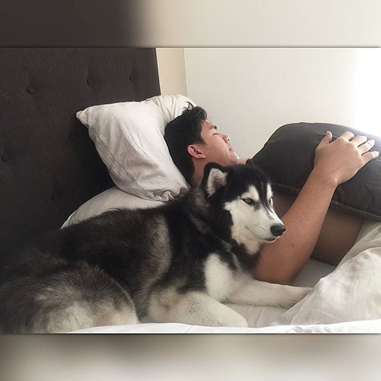 บุ๋ม ปนัดดา วงศ์ผู้ดี