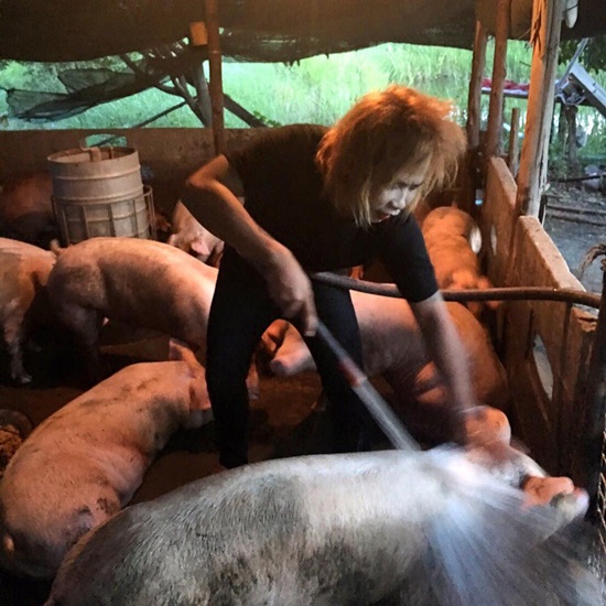  เทพพิทักษ์ แอสละ