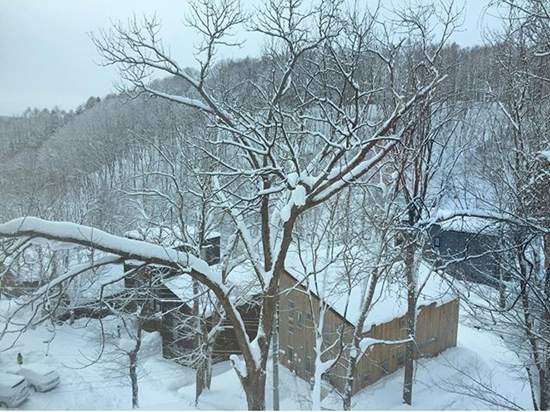 ซี เอมี่