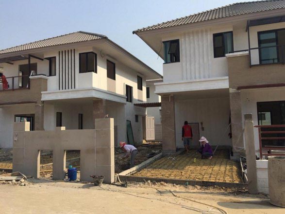 แมลงเมี่ยง