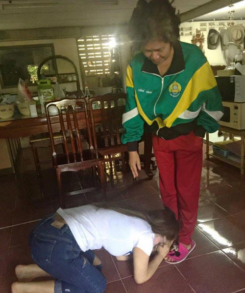 แมลงเมี่ยง