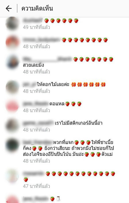 น้ำชา ชีรณัฐ