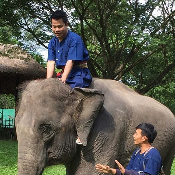 ยิ่งยง ยอดบัวงาม