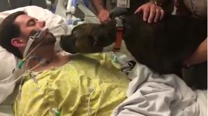 อำลาเจ้านาย