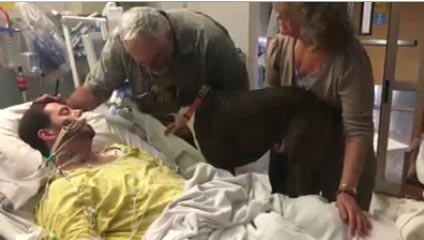 อำลาเจ้านาย